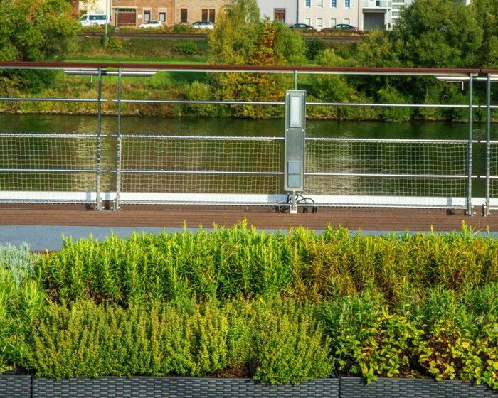 Herb Garden